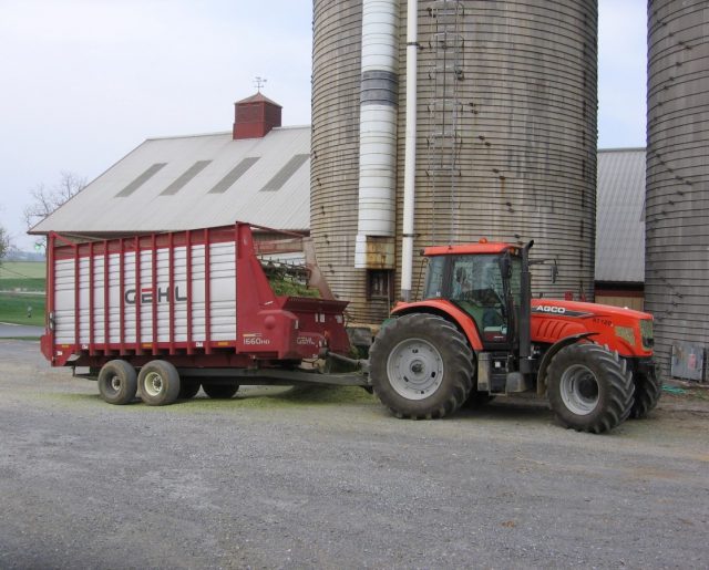 The ryelage is blown into upright silos by a blower
