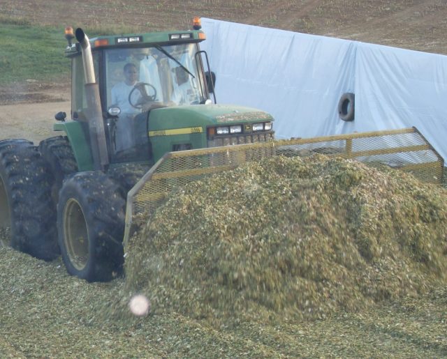 Tractor piling up corn silage