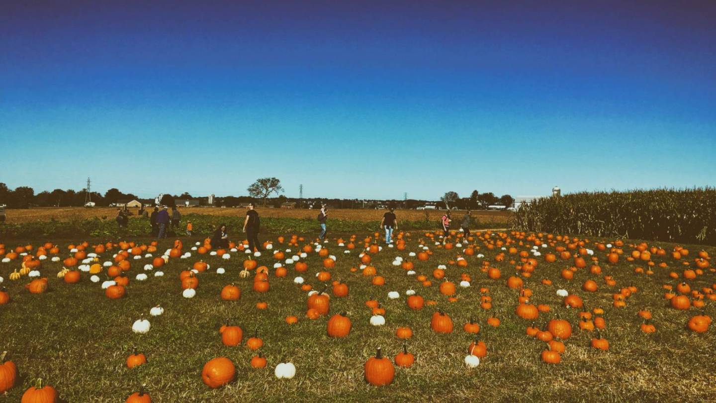 Pumpkin Event 