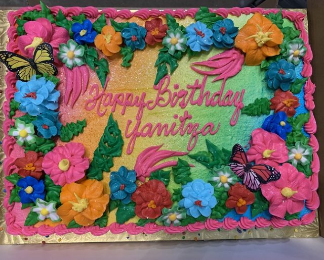 butterfly garden sheet birthday cake